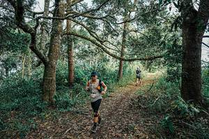 BIB: 
                            <button type="button" onclick="openModal(25664327)" class="btn btn-primary btn-sm float-right btn-popup" data-toggle="modal" data-target=".modal-high-quality">
                        <i class="fas fa-shopping-cart"></i> Add to Cart
                    </button>
                                            <button type="button" onclick="isThisMe(25664327, true)" class="btn btn-success btn-sm float-right btn-popup btn-isme hidden" data-toggle="tooltip" data-placement="bottom" title="นี่คือรูปของคุณใช่ไหม คลิกที่นี่เพื่อเอาเข้าอัลบั้ม">
                        <i class="fas fa-plus"></i> Add to album
                    </button>
                    <button type="button" onclick="isThisMe(25664327, false)" class="btn btn-warning btn-sm float-right btn-popup btn-isnotme hidden">
                        <i class="fas fa-ban"></i> Remove from album
                    </button>